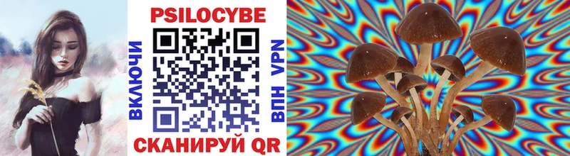 Галлюциногенные грибы Psilocybe  Юхнов 